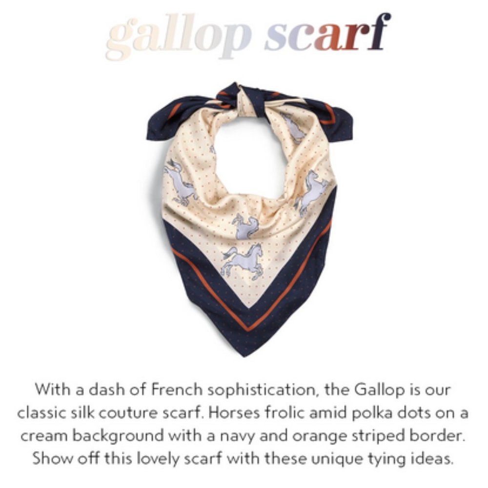 CAbi gallop silk scarf. Style # 5274 EUC